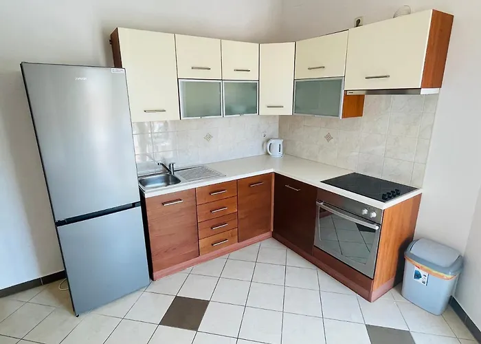 Basilea * ビオグラード・ナ・モル